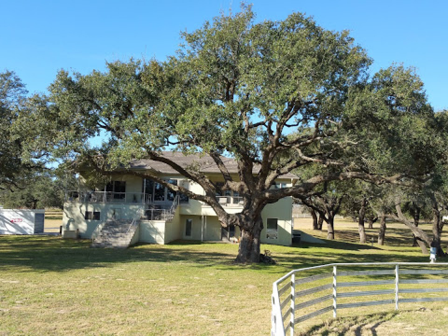 Tree Trimming and Landscaping Services in Cuero, TX